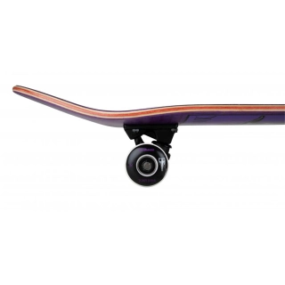 Skate completo Birdhouse  31 x 7.75 IN