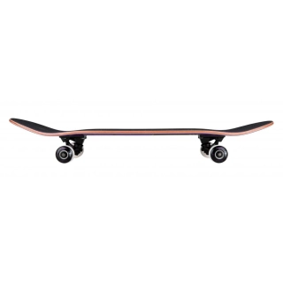 Skate completo Birdhouse  31 x 7.75 IN